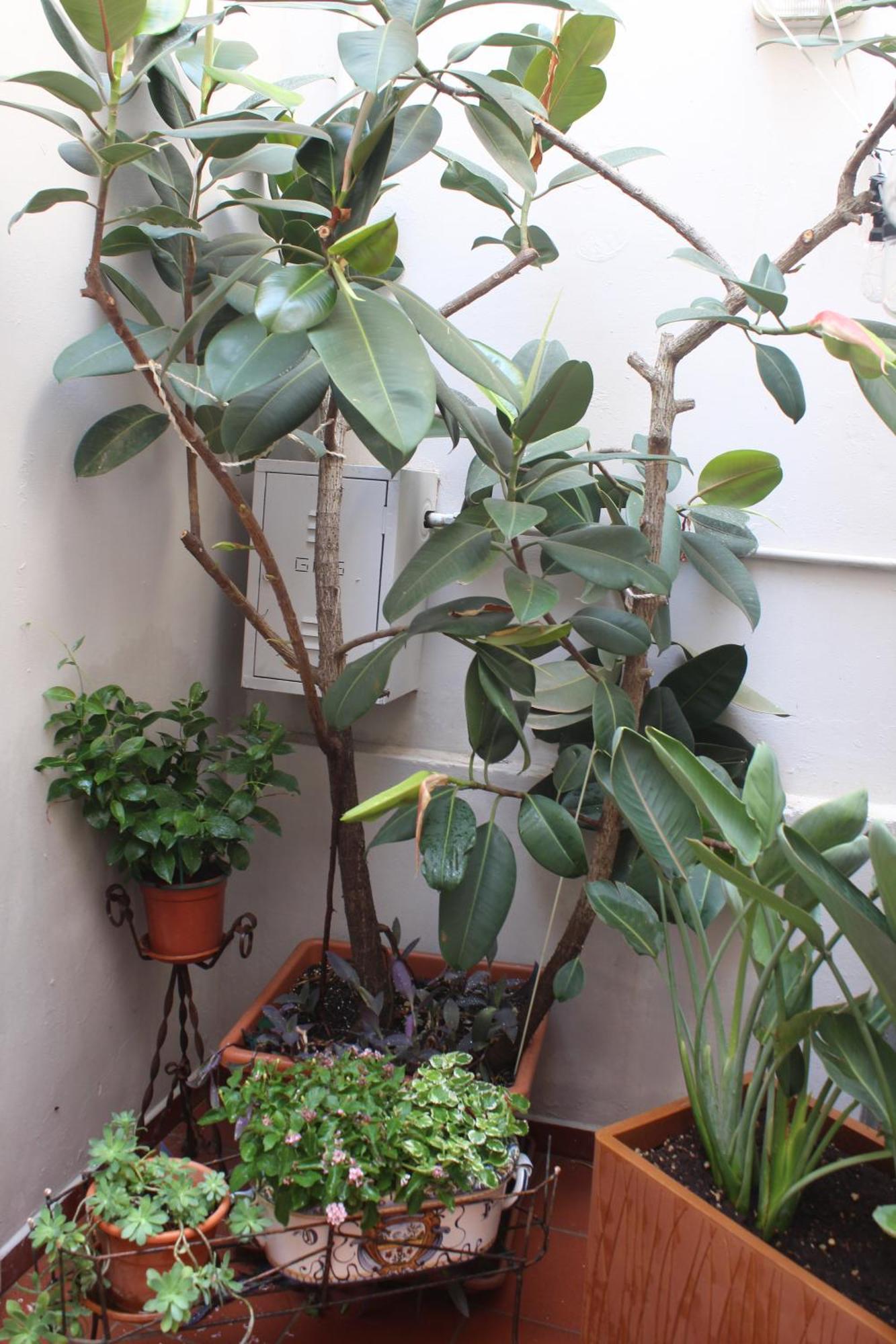 La Terrazza Sul Tempio Apartment Brindisi